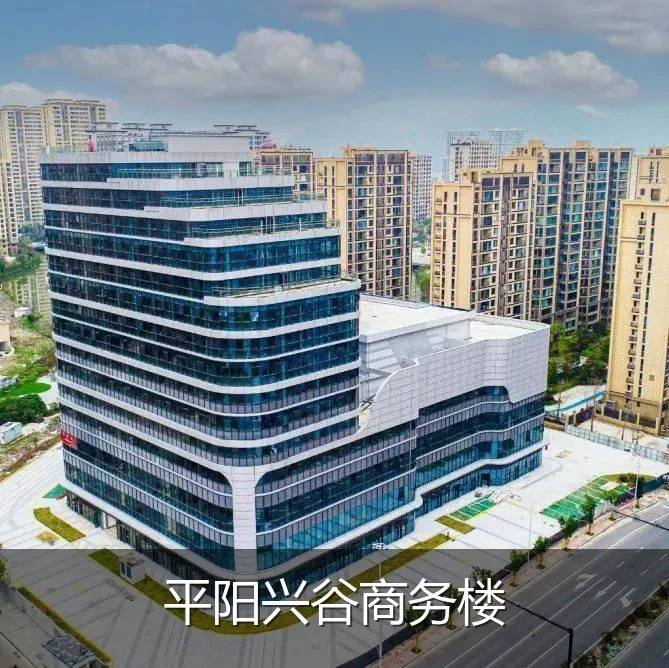 平阳兴谷商务楼