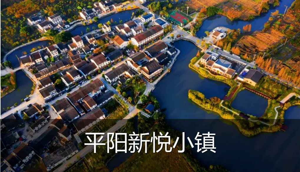 平阳新悦小镇