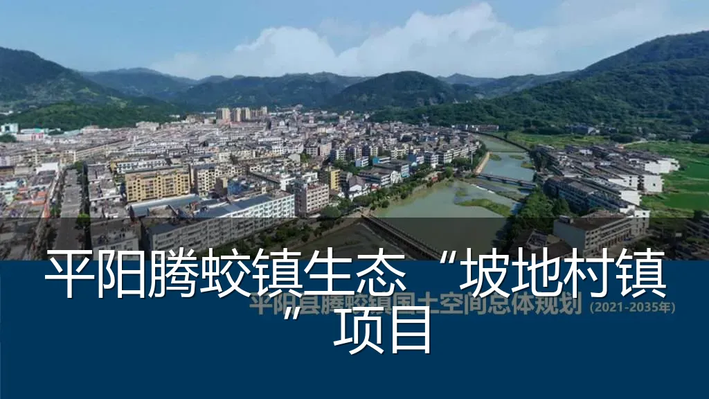 平阳腾蛟镇生态“坡地村镇”项目